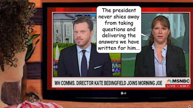 biden comic