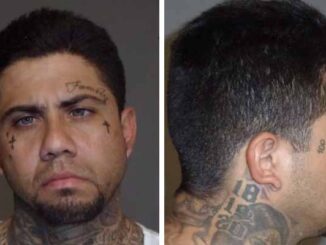 mugshots