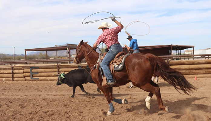 Rodeo Champion Team Roper Garibay Embraces Technology in Coaching Clinics