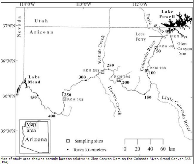 USGS-Sediment-study-Colorado-River