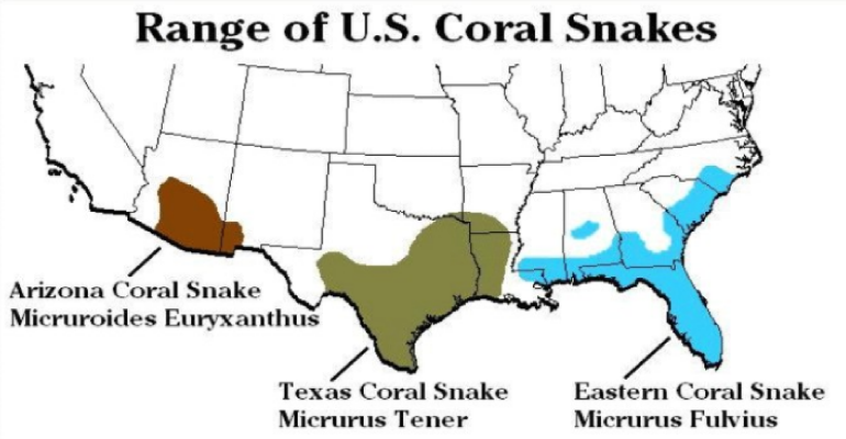 https://commons.wikipedia.rg/wiki/File:USA_Coral_Snake_Range.png