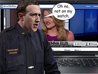 zuckerberg comic