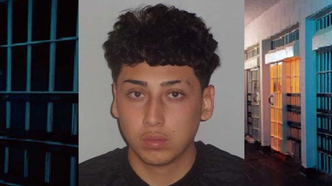 mugshot