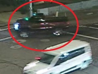 truck involved in hit and run