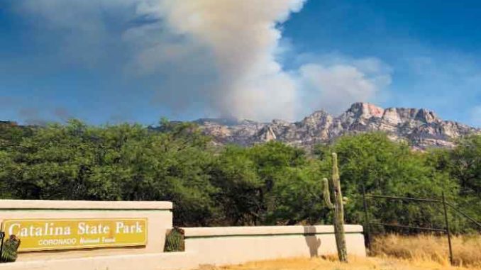 bighorn fire