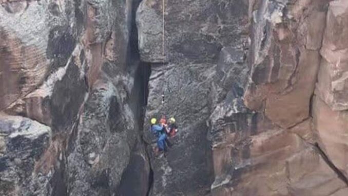 rescue