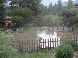 flood