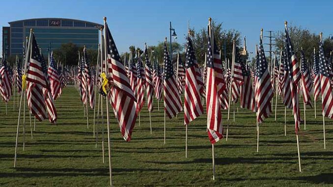 flag field