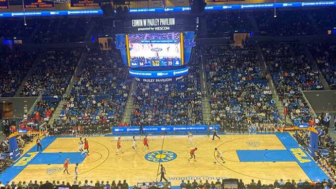 basketball basketball