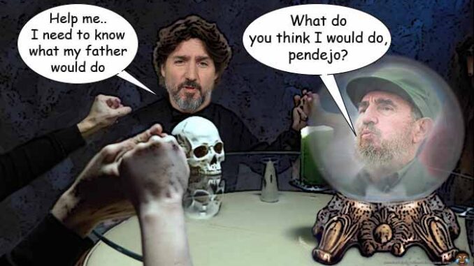 TRUDEAU COMIC