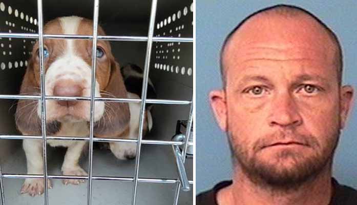 Surprise Man Arrested For Horrific Animal Cruelty Including Zip-Tying Dog's  Mouth Shut – Arizona Daily Independent