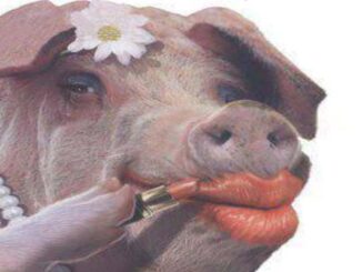 pig lipstick