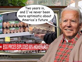 biden comic