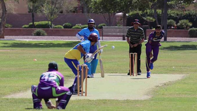 cricket athlete