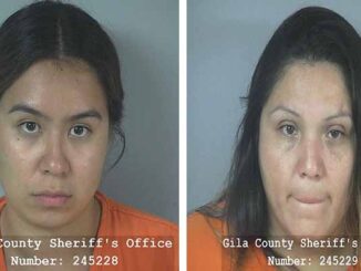 mugshots