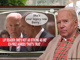 joe biden comic
