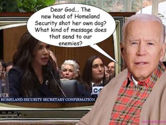joe biden comic