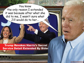biden comic