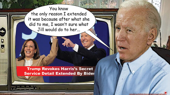 biden comic