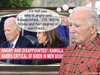 biden comic