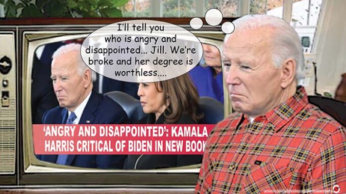 biden comic