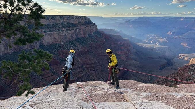 grand canyon canyon
