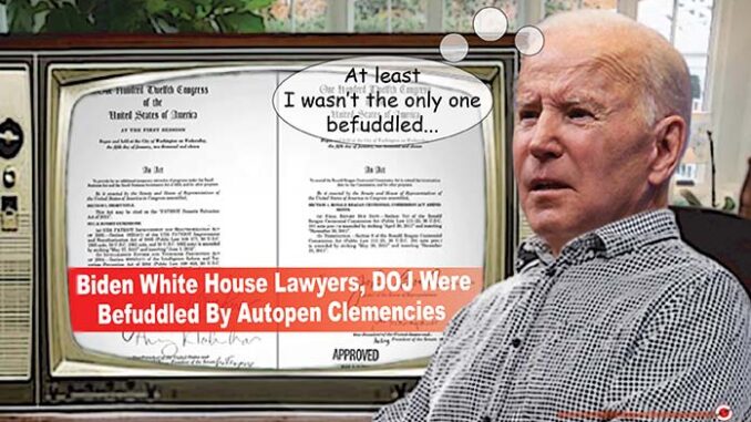 joe biden befuddled biden comic