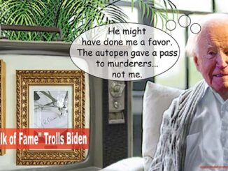joe biden comic