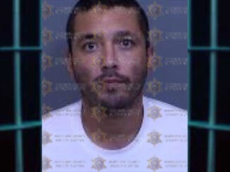 mugshot