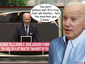 biden comic