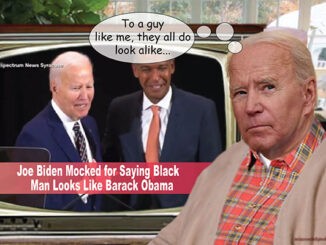 biden comic