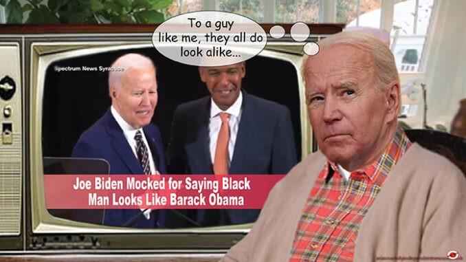 biden comic