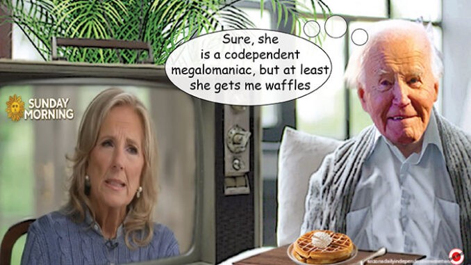 biden comic