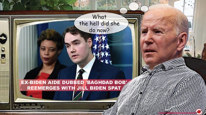 BIDEN COMIC