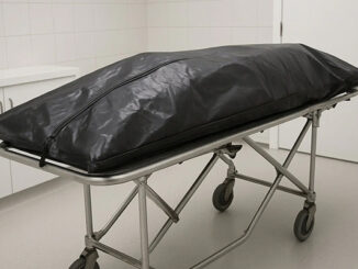 body bag