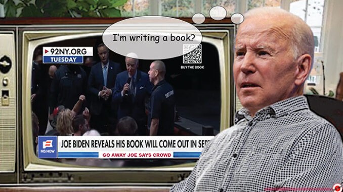 joe biden comic