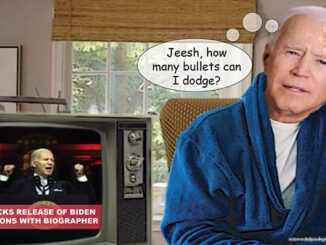 biden comic