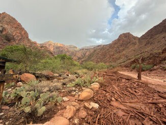 grand canyon
