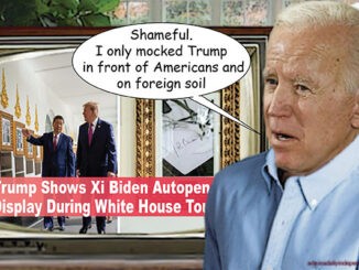 biden comic