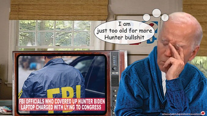 BIDEN COMIC