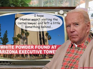 biden comic