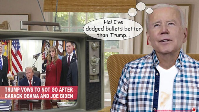 biden comic